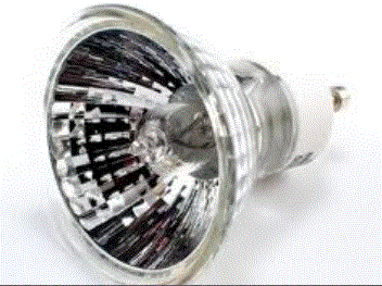 Bulbs_Halogen_Light_Bulbs